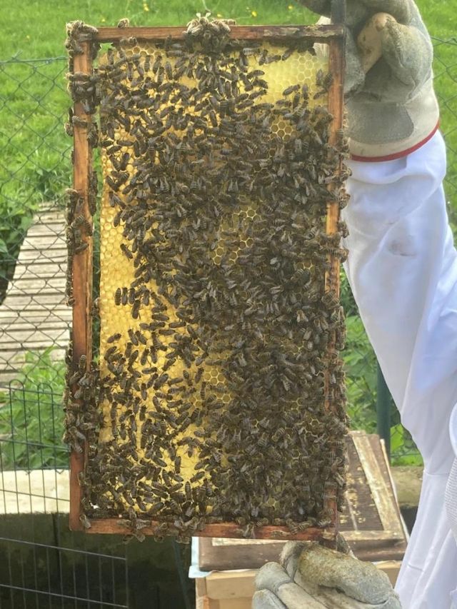 Unser Imker - Schmidts Hofgenuss